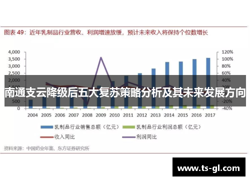 南通支云降级后五大复苏策略分析及其未来发展方向