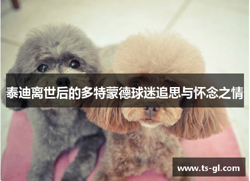 泰迪离世后的多特蒙德球迷追思与怀念之情