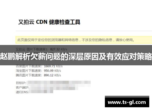 赵鹏解析欠薪问题的深层原因及有效应对策略